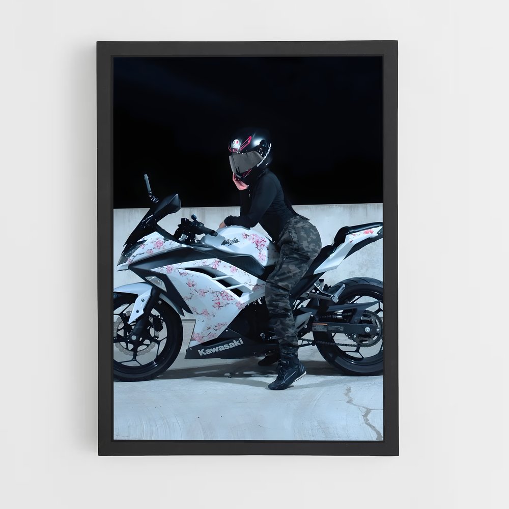 Poster Ride of the Ninja (vue 2)